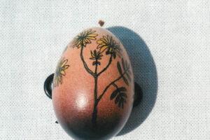 easter-eggs---april-2-1995--april-20-1995_12222954475_o